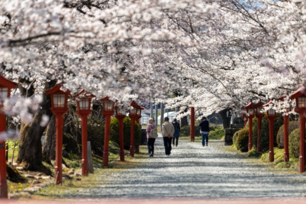 相馬市の暮らし