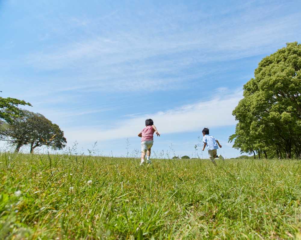 南相馬市の子供の遊び場